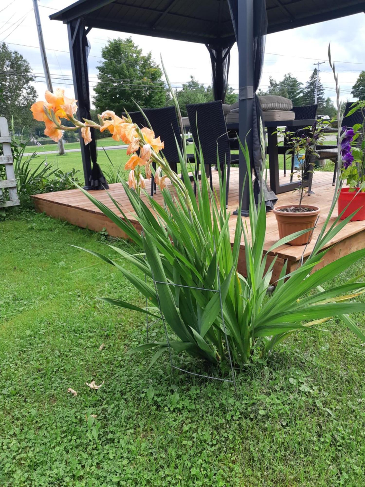 Big Axe Bed & Breakfast Otis 외부 사진
